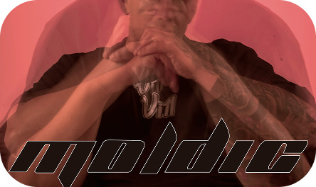 Moldic — Diseño gráfico